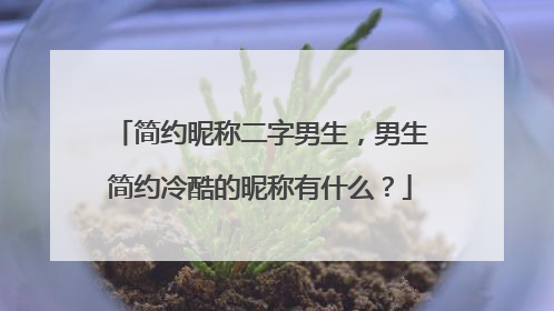 简约昵称二字男生,男生简约冷酷的昵称有什么?