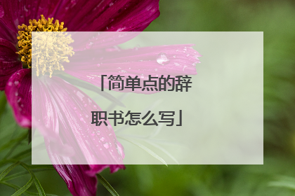 简单点的辞职书怎么写