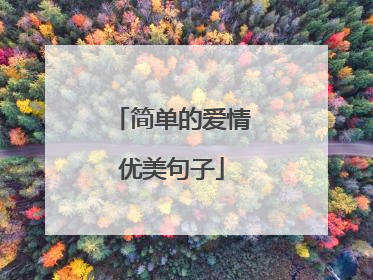 简单的爱情优美句子