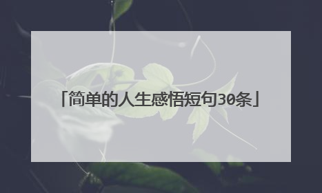 简单的人生感悟短句30条