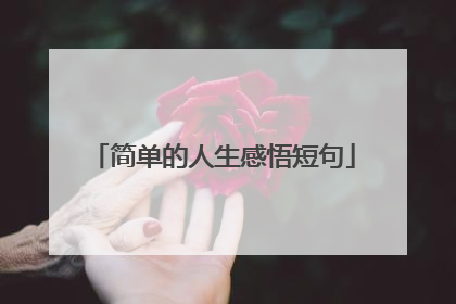 简单的人生感悟短句