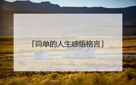 简单的人生感悟格言