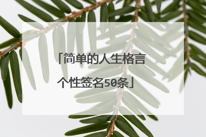 简单的人生格言个性签名50条