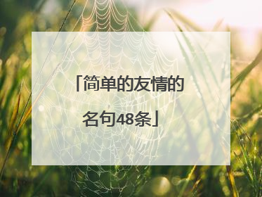 简单的友情的名句48条
