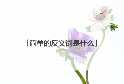 简单的反义词是什么