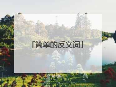 简单的反义词