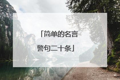 简单的名言警句二十条