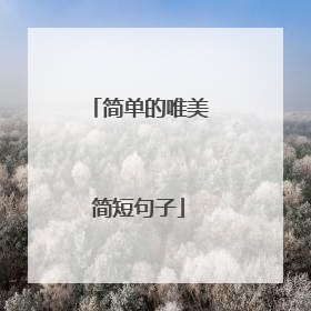 简单的唯美简短句子