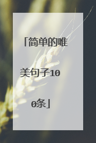 简单的唯美句子100条