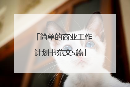简单的商业工作计划书范文5篇