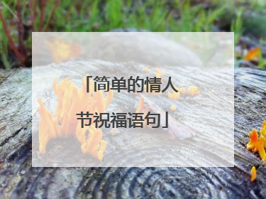 简单的情人节祝福语句