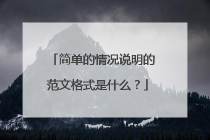 简单的情况说明的范文格式是什么？