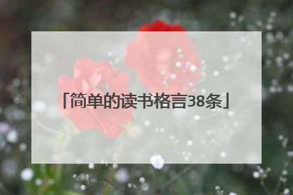 简单的读书格言38条
