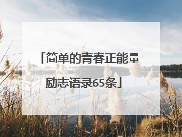 简单的青春正能量励志语录65条