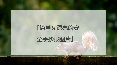 简单又漂亮的安全手抄报图片