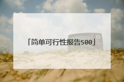 简单可行性报告500