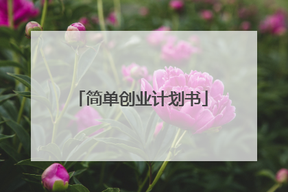 简单创业计划书