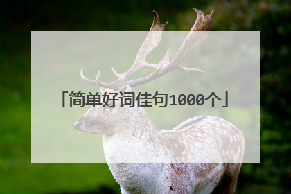 简单好词佳句1000个
