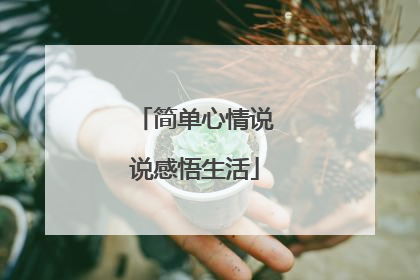 简单心情说说感悟生活
