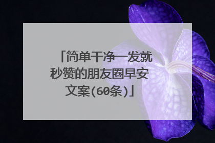 简单干净一发就秒赞的朋友圈早安文案(60条)