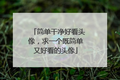 简单干净好看头像,求一个既简单又好看的头像