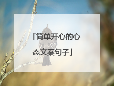 简单开心的心态文案句子