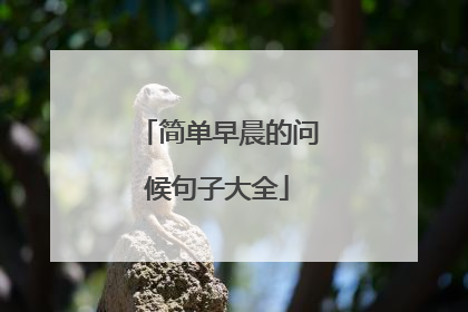 简单早晨的问候句子大全