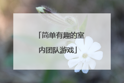 简单有趣的室内团队游戏