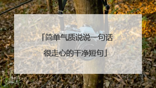 简单气质说说一句话 很走心的干净短句