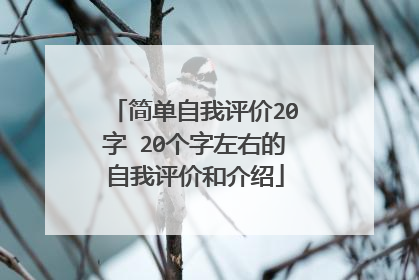 简单自我评价20字 20个字左右的自我评价和介绍