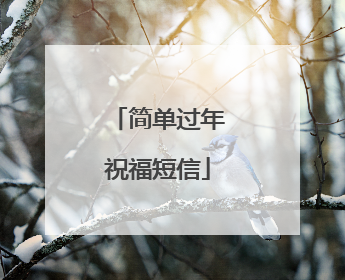 简单过年祝福短信