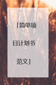 简单项目计划书范文