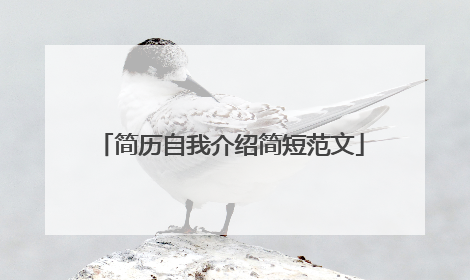 简历自我介绍简短范文