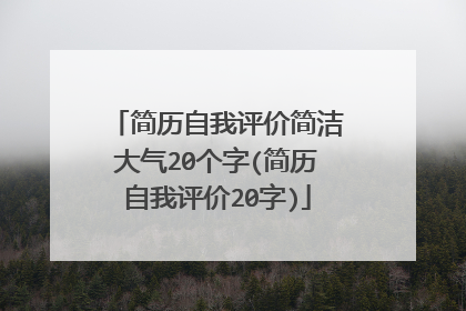 简历自我评价简洁大气20个字(简历自我评价20字)