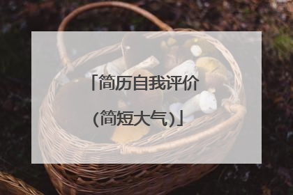 简历自我评价(简短大气)