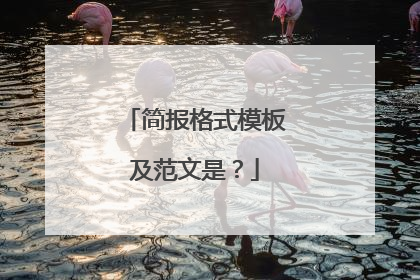 简报格式模板及范文是?