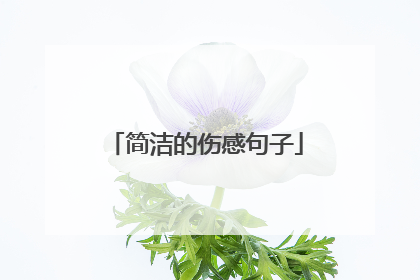 简洁的伤感句子