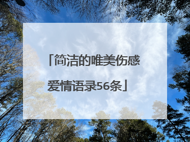 简洁的唯美伤感爱情语录56条