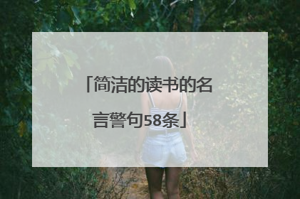 简洁的读书的名言警句58条