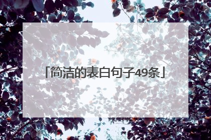 简洁的表白句子49条