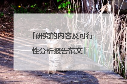 研究的内容及可行性分析报告范文