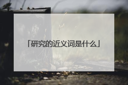 研究的近义词是什么
