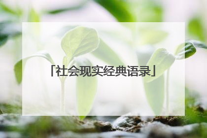 社会现实经典语录