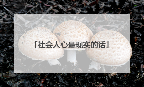 社会人心最现实的话
