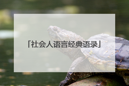 社会人语言经典语录