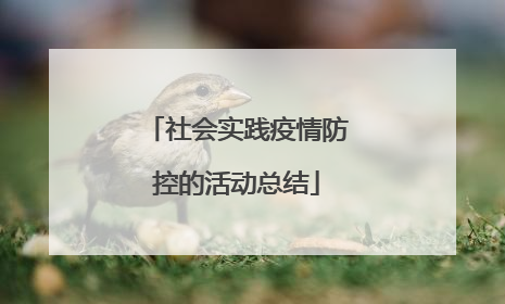 社会实践疫情防控的活动总结