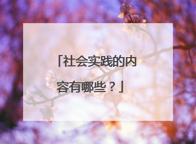社会实践的内容有哪些?