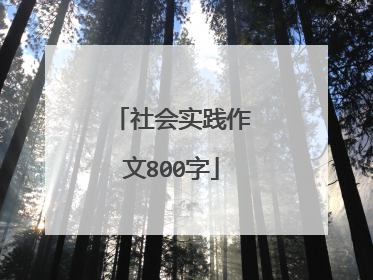 社会实践作文800字