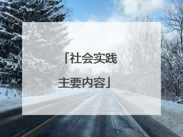 社会实践主要内容