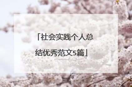 社会实践个人总结优秀范文5篇